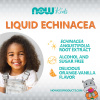 NOW Echinacea Extract 60 мл