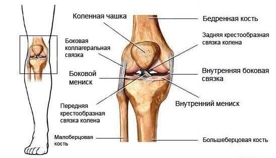 ​Травма колена и хроническая боль