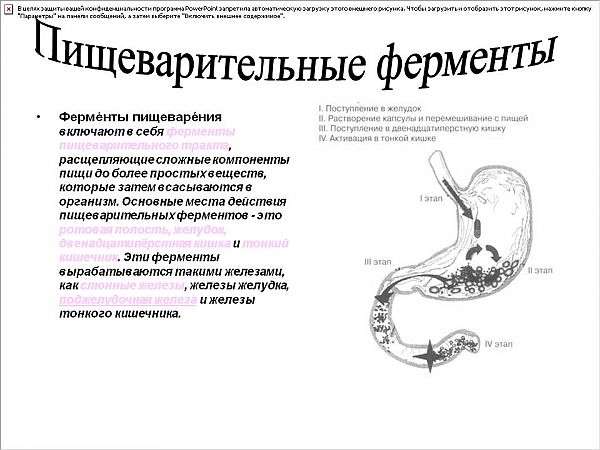 Пищеварительные ферменты в бодибилдинге