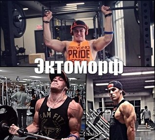 Тренировки и образ жизни эктоморфа