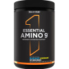 Rule Essential Amino 9+Energy 345 гр