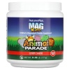 NaturesPlus MagKidz 171 гр