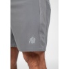 Шорты Lubec GW-91014 Gray