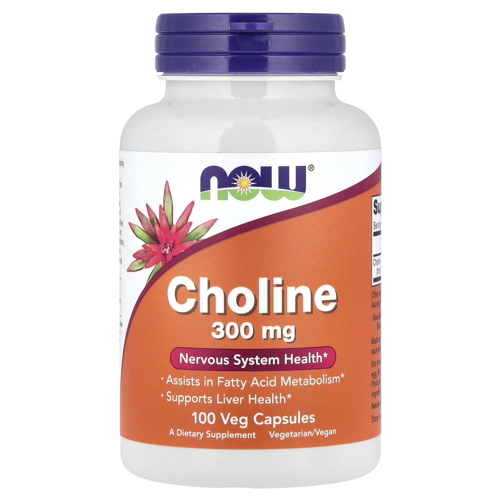 NOW Choline 300mg 100 капс